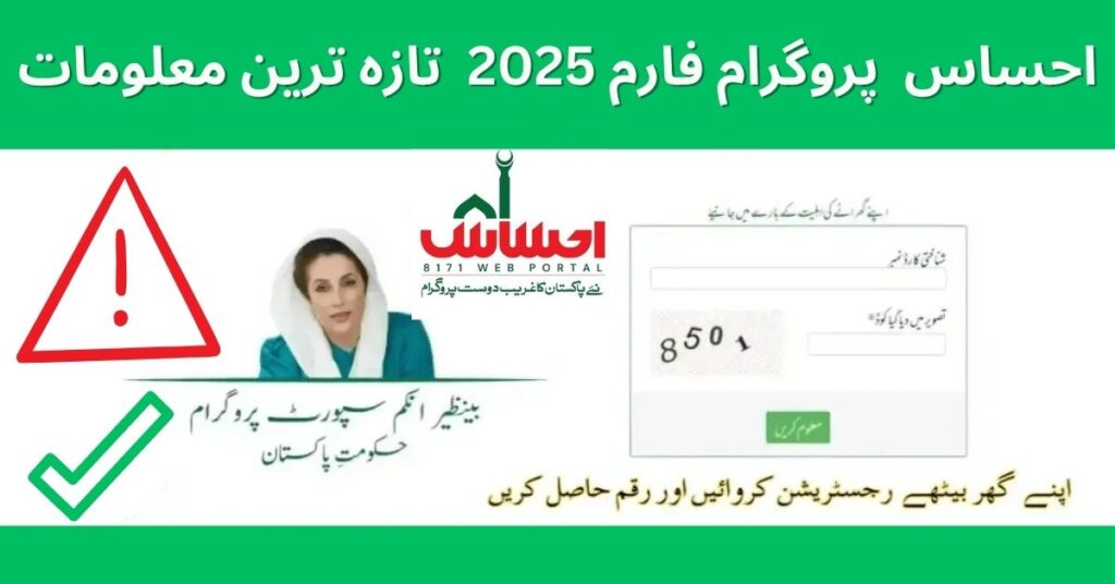 Benazir Income Support Program Application